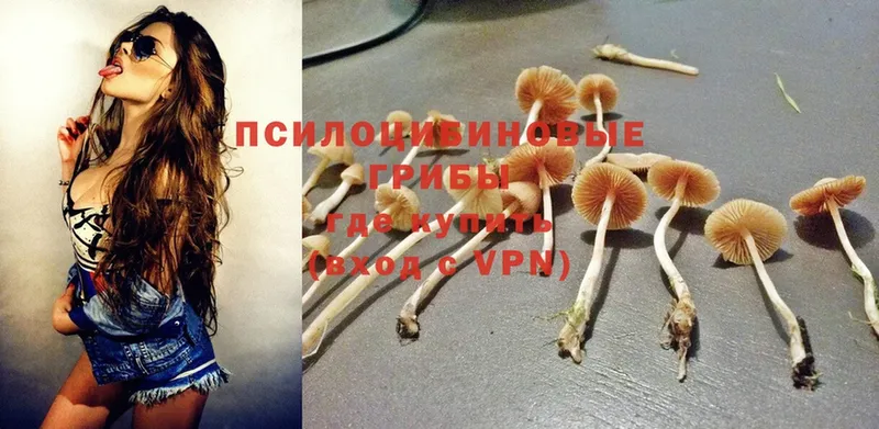 Галлюциногенные грибы Cubensis  Белинский 